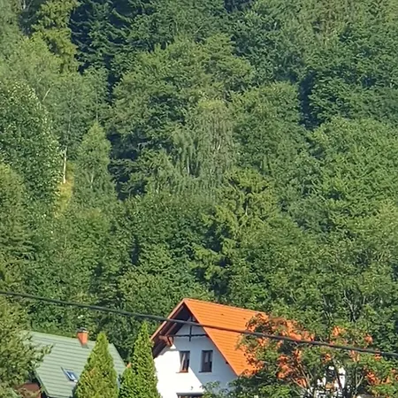 U Eli Корбелюв