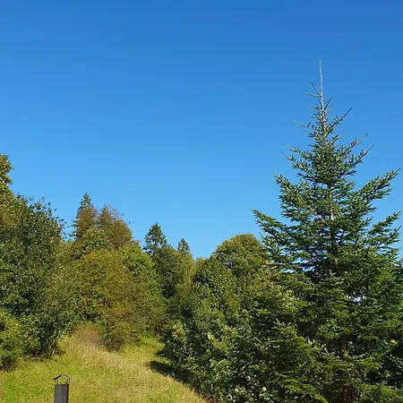 U Eli Гостевой дом