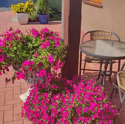 بيت ضيافة U Eli كوربييلوف