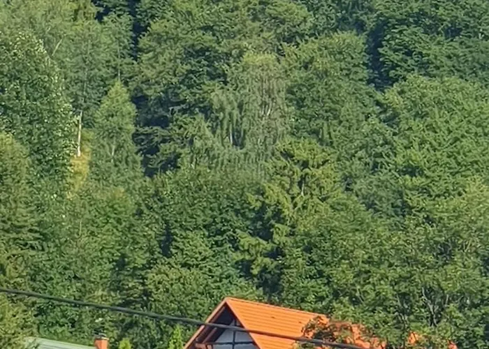 U Eli كوربييلوف