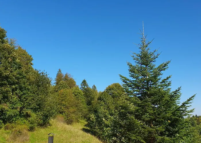 U Eli بيت ضيافة