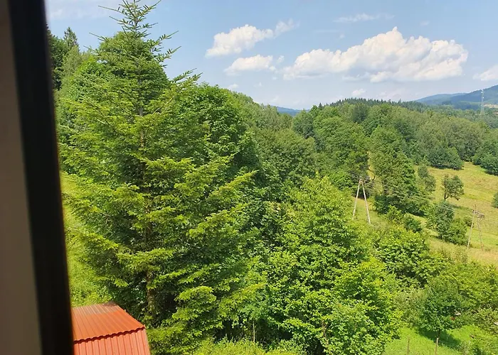 بيت ضيافة U Eli 3*