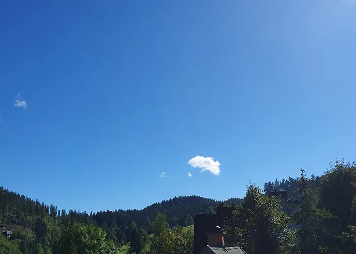 U Eli بيت ضيافة كوربييلوف